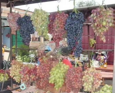 Саженцы винограда почтой наложенным