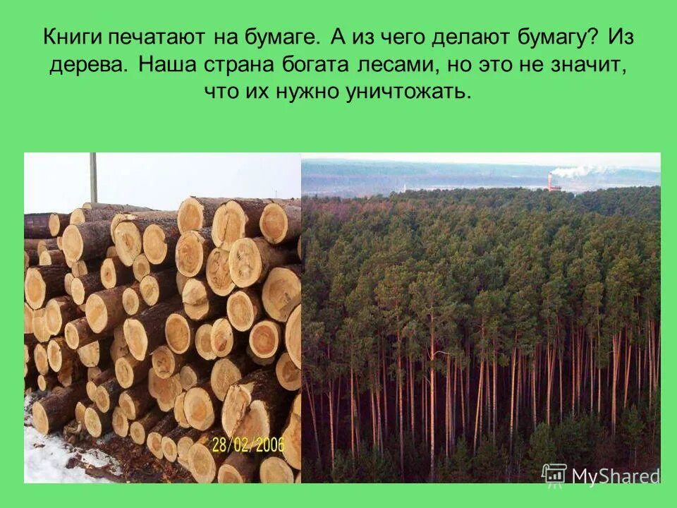 Древесина для производства бумаги. Деревья для производства бумаги. Из чего делают бумагу. Как делают бумагу из дерева. О том как делают книги