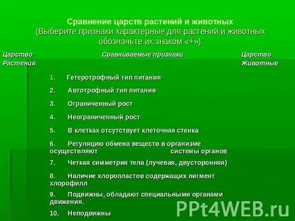 Какие признаки присущи только растениям