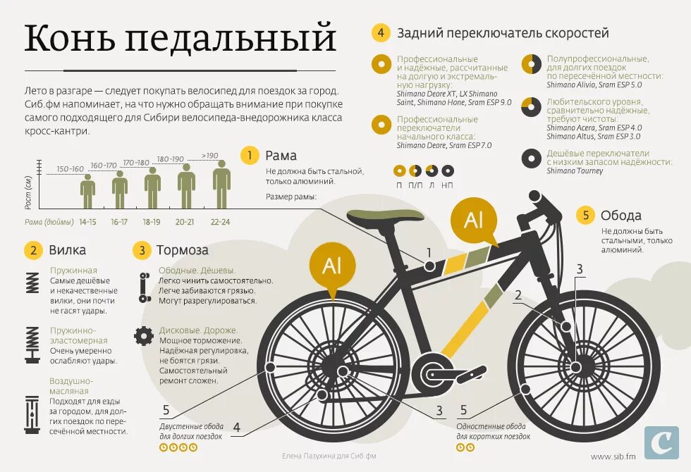 Подобрать раму по росту. Подобрать велосипед. Выбор велосипеда. Инфографика велосипед. Как выбрать велосипед.