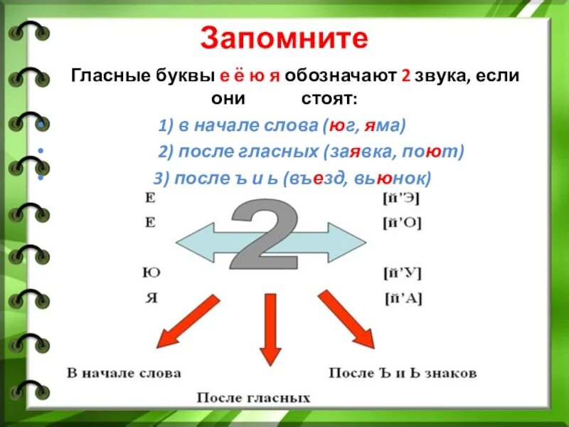 Утро звуки буквы. Правило гласные буквы обозначающие 2 звука. Е Ё Ю Я обозначают два звука правило. Я Ю Е Ё обозначают 2 звука правило. Когда в слове буква ё обозначает два звука.