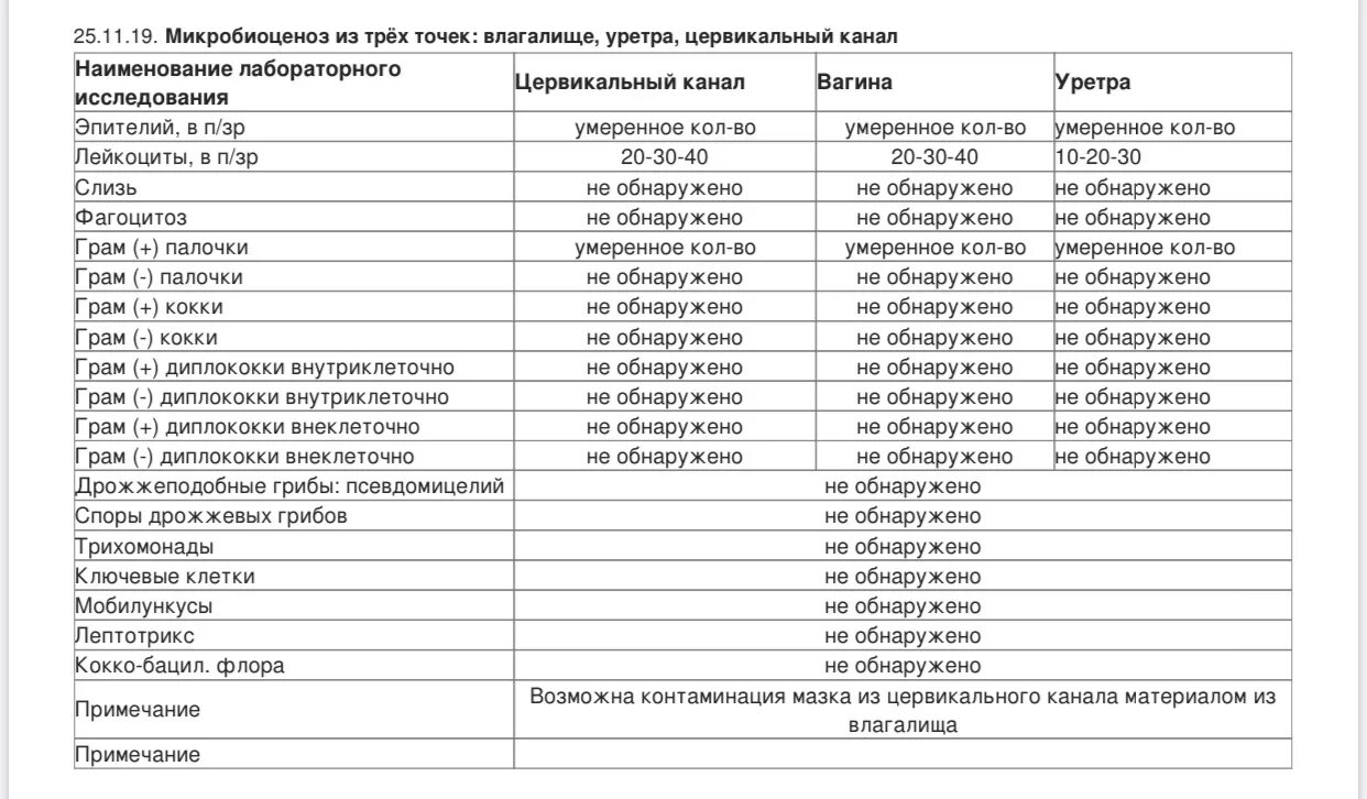 Показатели лейкоцитов в гинекологическом мазке. Лейкоциты в мазке при беременности 3 триместр норма. Лейкоциты 15-20 в мазке на флору при беременности. Исследование влагалищных мазков норма. Норма лейкоцитов 3 триместр