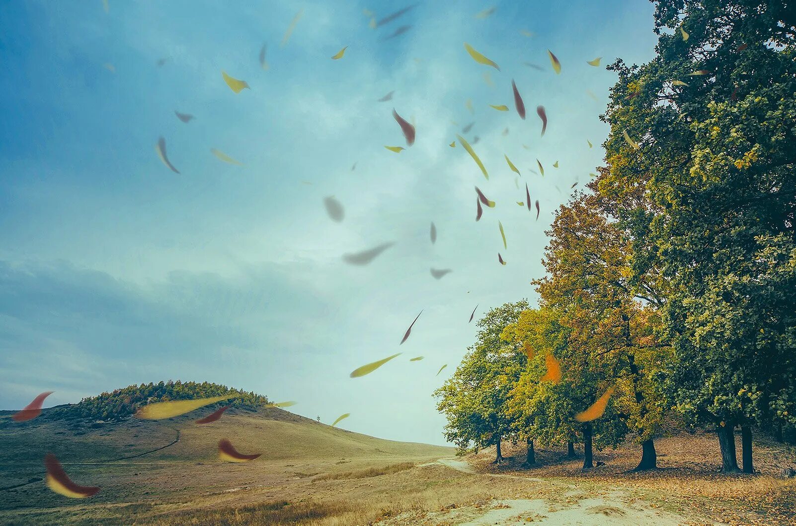 Ураган в городе. Легонький ветерок колышет. Легкий ветерок колышет арматуру мимо пролетают. Ковыль перистый гелиофит. Легонький ветерок колышет.