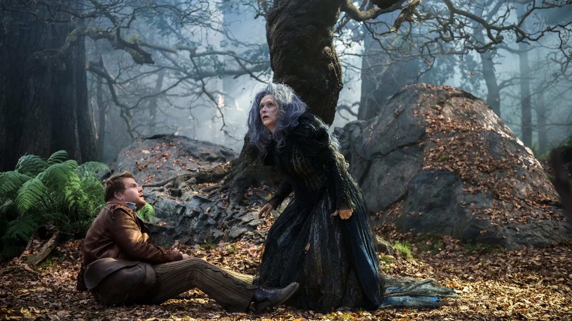 Мистика приключения. Into the Woods фильм 2014. Кадр из фильма чем дальше в лес 2014. Чем дальше в лес Джонни Депп. Into the Woods 2 фильм.