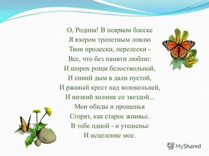 Жигулин стихи о родине