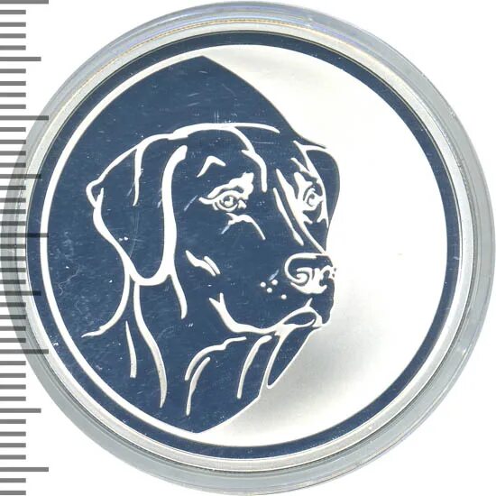 Собака 2000. Cурова з. World of dogs. Монета 3 головы собачьи. 2000 dogs в рублях.