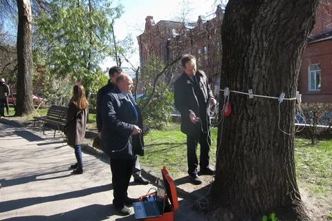 Диагностика маркс