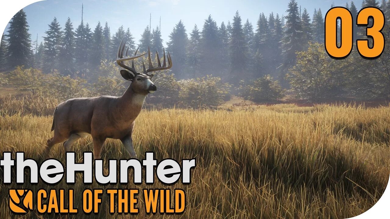 Вилд 3. Зе Хантер вилд. The Hunter Call of the Wild. The Hunter Call of the охота. The Hunter Call of the Wild обложка.