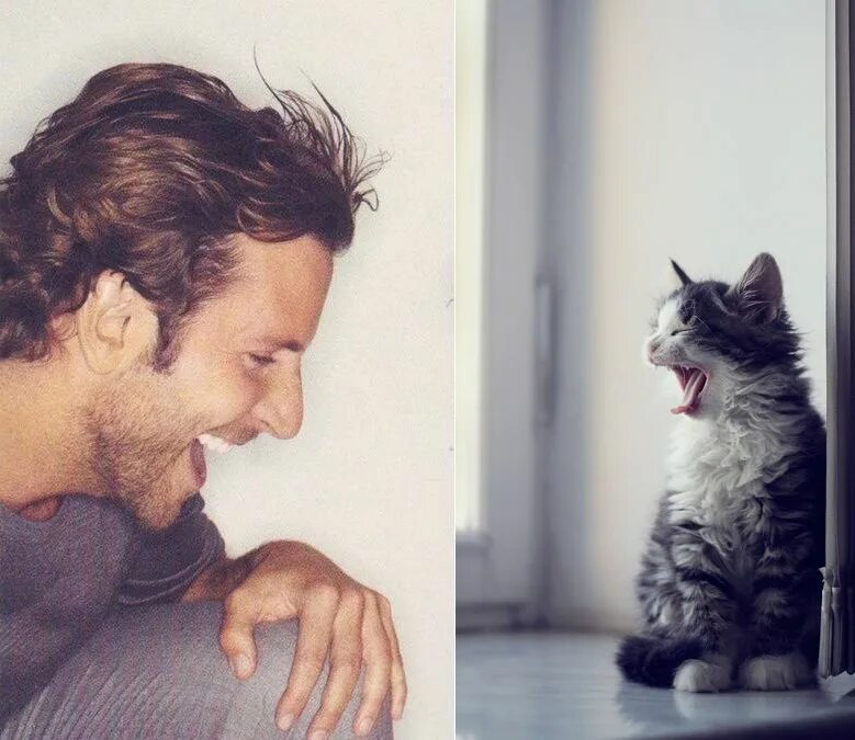 Мужчина любящие кошек. Мужчина с котом. Парень с котенком. Мужчина с котом и собакой.