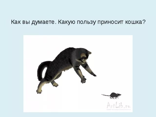 И какую пользу они приносят. Какую пользу приносят кошки. картинки какую пользу приносят кошки. польза кошек. польза от кошек для человека.