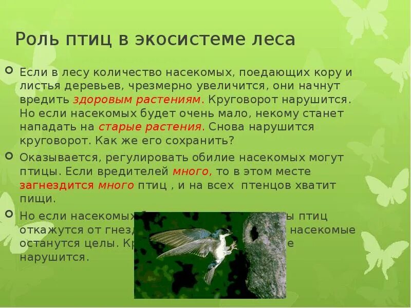 У каких животных при чрезмерном увеличении численности