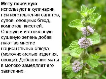 Фо описание