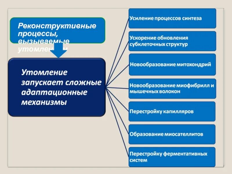 Яркими проявлениями данного этапа является усиление процессов