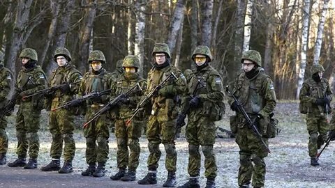 Местные войска