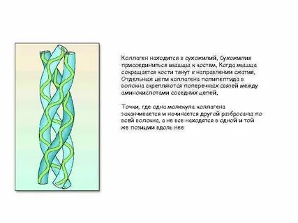 Фибриллярные подергивания