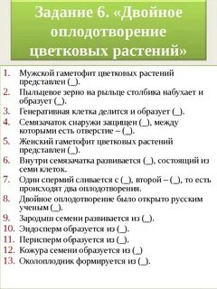 Женский гаметофит это