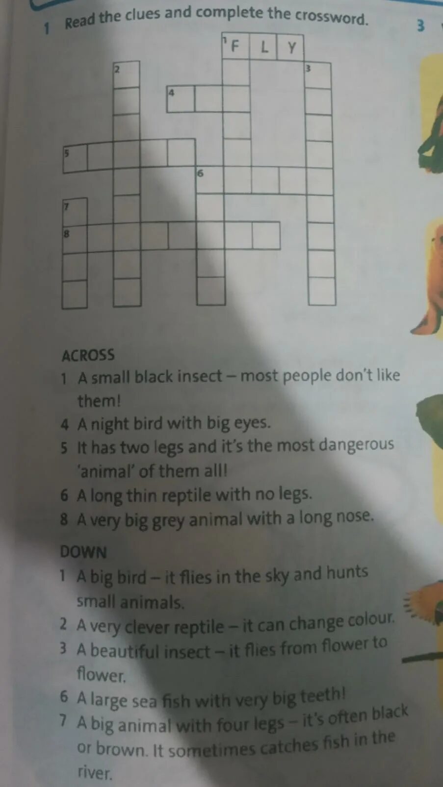 Read the clues and complete the. Read the clues and complete the