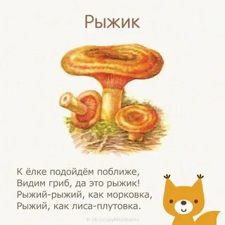 Стихи про грибы короткие
