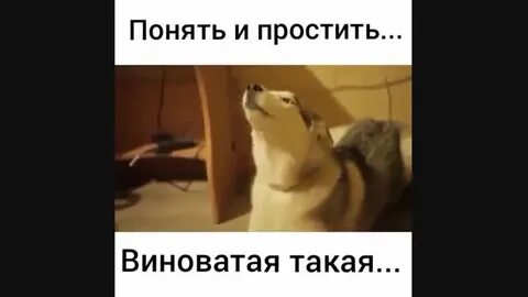 Понял виноват