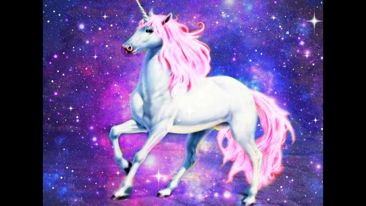 Милый единорог. Единорог в море. Единорог пол. Полет на единороге. Поле единорогов.