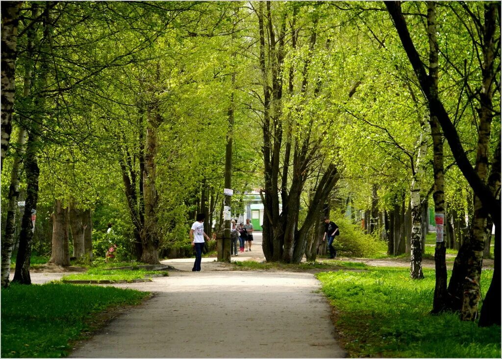 екатерининский парк яблоневая аллея. лесной тенистый сад. мы гуляли по аллеям тенистого сада. парк победы тверь. теннистая или тенистая аллея.