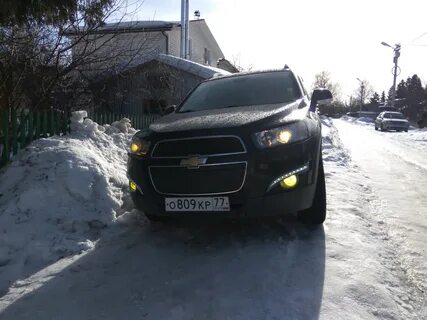 Каптива туманки