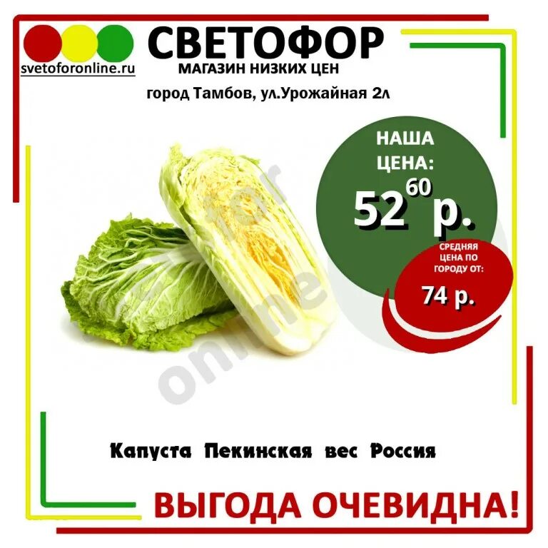Сколько стоять капусте в тепле. Изготовитель капуста белокочанная свежая. Процесс квашения капусты. Капуста 16 на 16. Сколько стоять капусте в тепле.