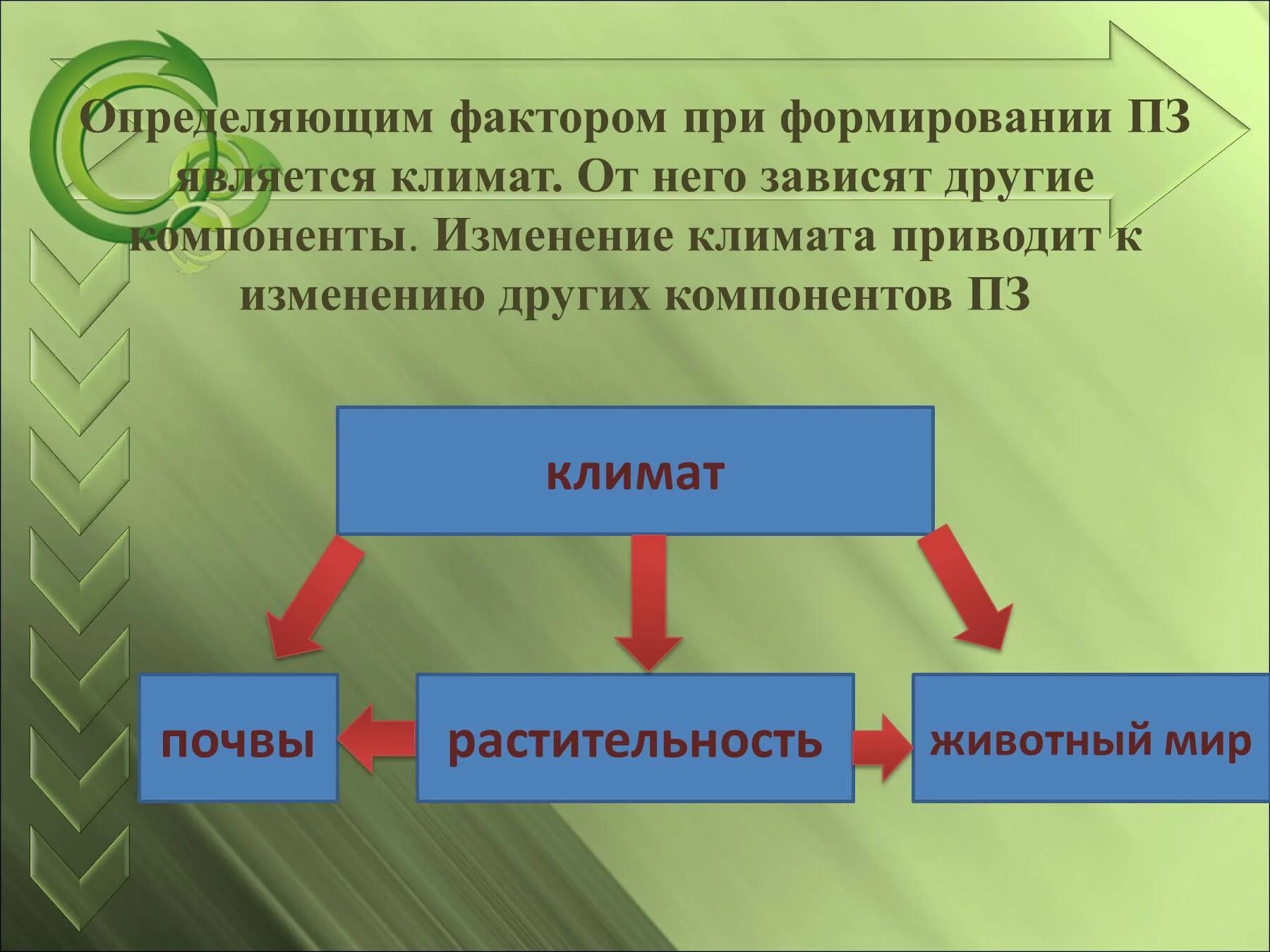 Факторы влияющие на формирование природных зон. Факторы формирования природных зон. Важнейший фактор формирования природных зон. Формирование природных зон зависит от.