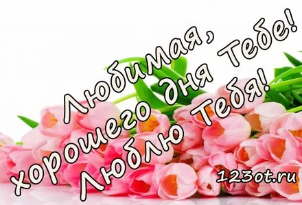 Желаю тебя прекрасного дня любимая