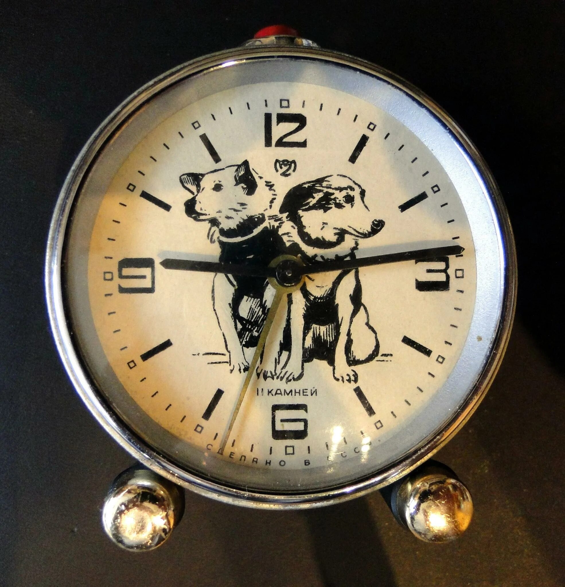 белка стрелка часы. белка стрелка часы. костюм собаки белки и стрелки. день космонавтики презентация. белка и стрелка карибская тайна 2021.
