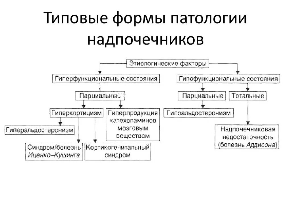 Изменение типовой формы. Нарушения функции надпочечников патофизиология. Типовые формы патологии надпочечников. Гормоны коры надпочечников патофизиология. Типовые формы патологии.