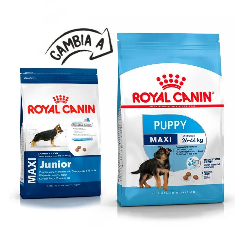 Корм для собак роял 15 кг. Royal Canin Maxi Puppy 15. Сухой корм Royal Canin Maxi Puppy для щенков крупных пород. Роял Канин Джуниор для собак крупных пород. Роял Канин для крупных пород собак 15кг.