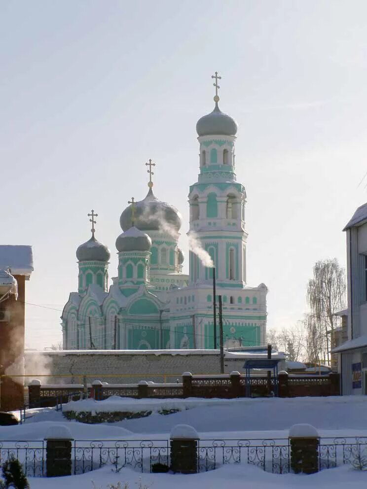 Базарный сызган ульяновск. Храм Дмитрия Солунского Базарный Сызган. Базарный Сызган Ульяновская область. Сызган Ульяновская область храм. Церковь Базарный Сызган Ульяновская область.