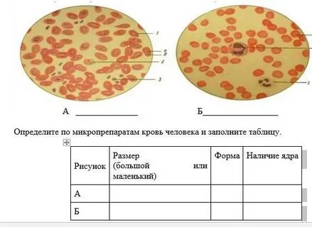 Должен выяснить