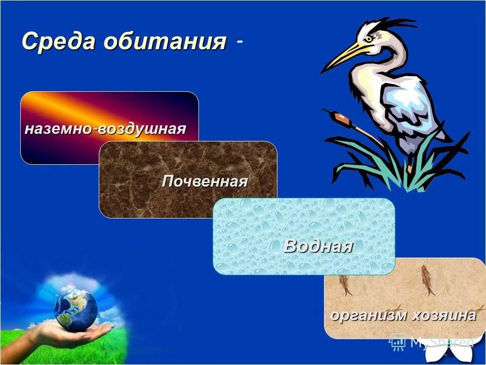 Баклажан среда обитания наземно воздушная