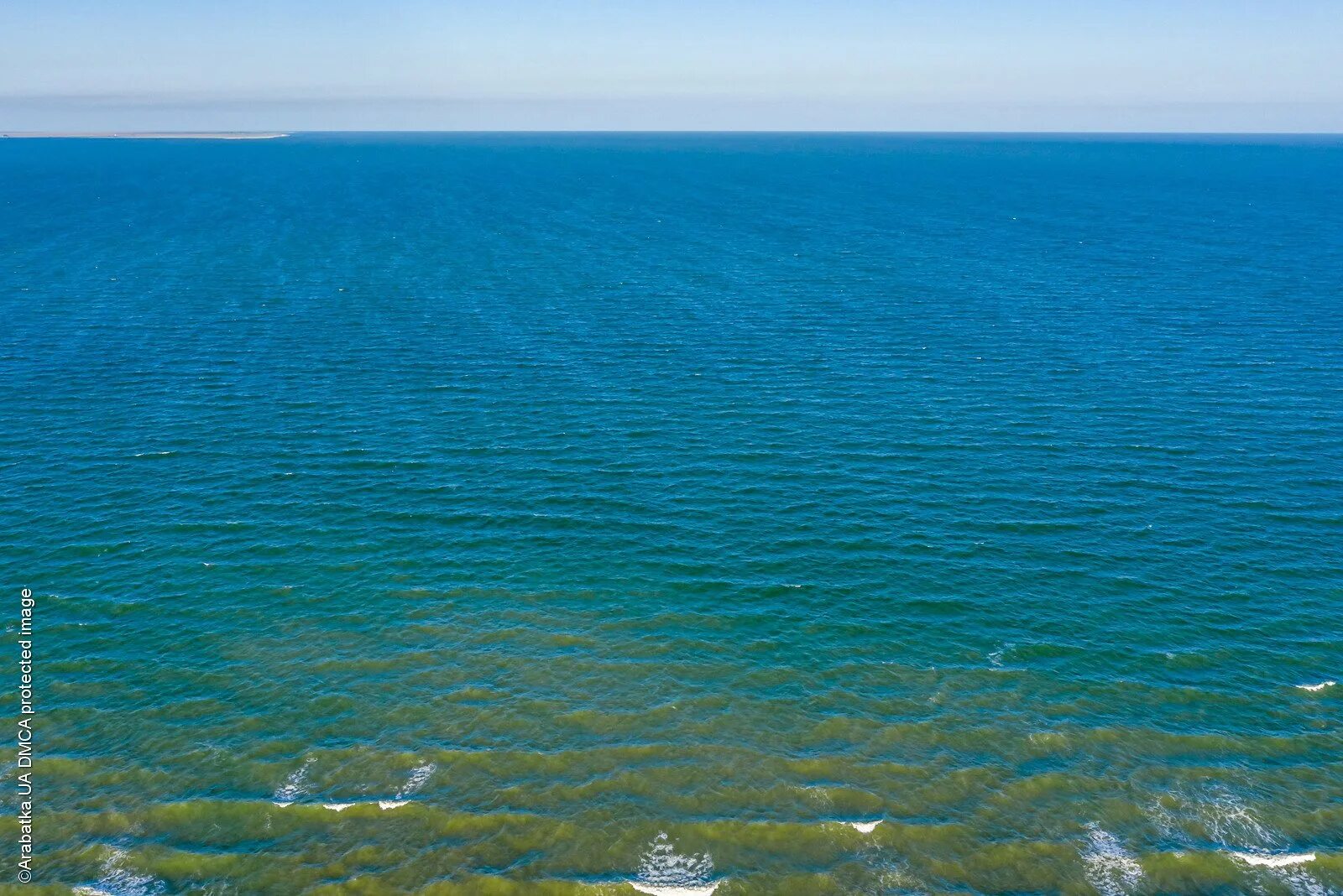 Озеро Меотида. Черное и Азовское море. Биосфера Азовского моря.