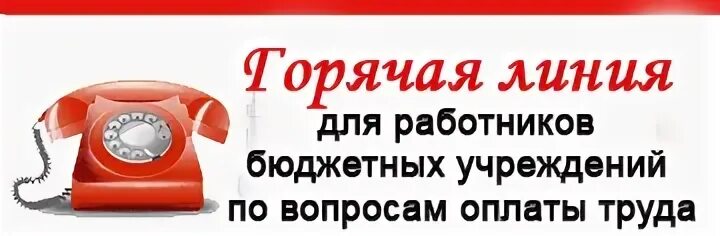 Номер телефона бухгалтерии Пятерочка для сотрудников. Горячая линия для сотрудников. Горячая линия Пятерочки для сотрудников Бухгалтерия. Горячая линия Пятерочки для сотрудников. Телефон горячей линии магазина пятерочка