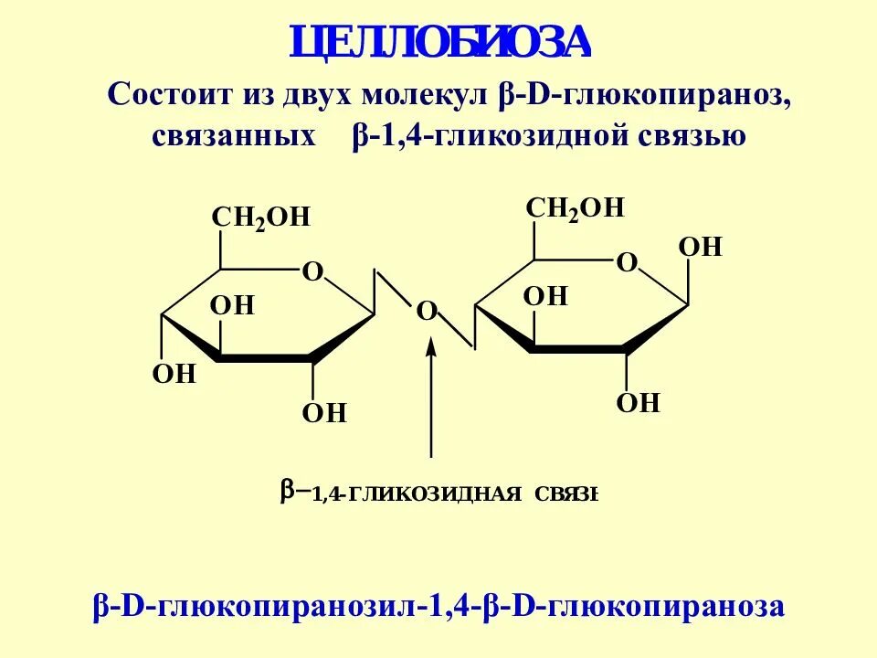 Связь 4 гликозидная. Д глюкопираноза гликозидная связь 1-4. Бета 1 4 гликозидная связь. Альфа 1 6 гликозидная связь. Тип гликозидной связи в дисахариде.