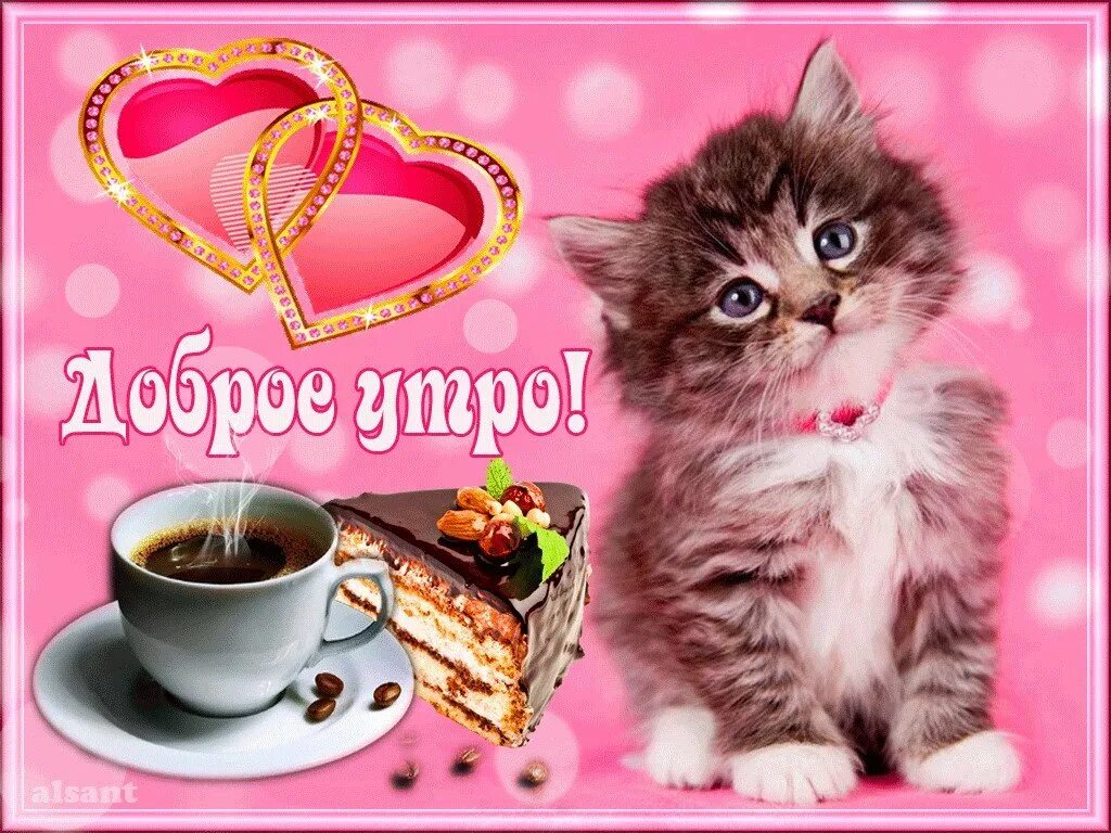 Бесплатные открытки с добрым утром любимый. Доброе утро котенок. С добрым утром котики. Открытки с добрым утром. Открытки с добрым утром с кошечками.