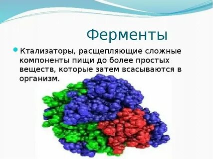 Ферментативная