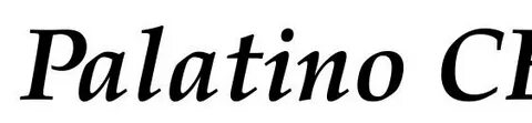 Font style italic bold