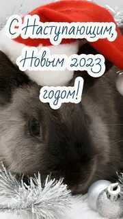 Красивые картинки с новым 2023