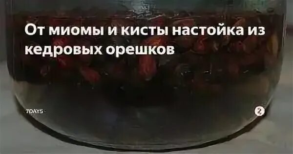 Мастопатия настойка ореха. Настой на кедровых орешках от кисты. настойка от миомы на кедровых орешках. настойка кедровых орешек от миомы и кисты. орешки кедровые настойка от миомы матки.