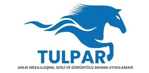 Тулпар кард