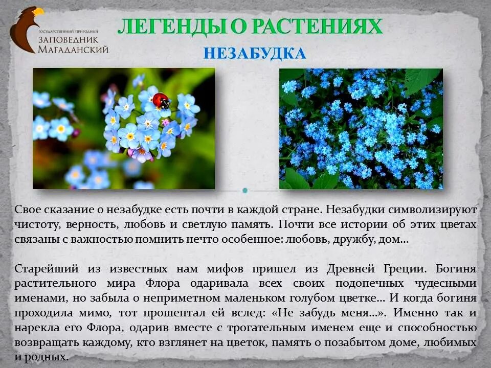 Почему цветы называют цветами