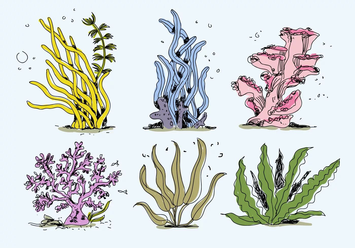 Сложные водоросли. Водоросли нарисованны. Водоросли рисунок. Морские растения. Подводные растения для детей.