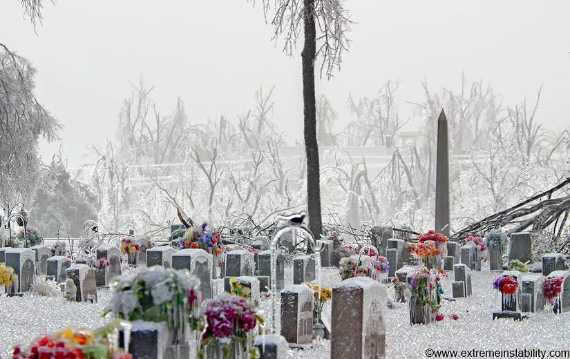 28 декабря 2009. Ледяной шторм 2009. Фото сделанное 2 декабря 2009 года. Фото сделанные 8 декабря 2009.