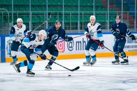 Сибирские снайперы мамонты югры прогноз