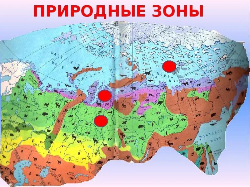 Интересные природные зоны. Природные зоны. Природные зоны картинки. Карта природных зон России. Природные зоны для детей.