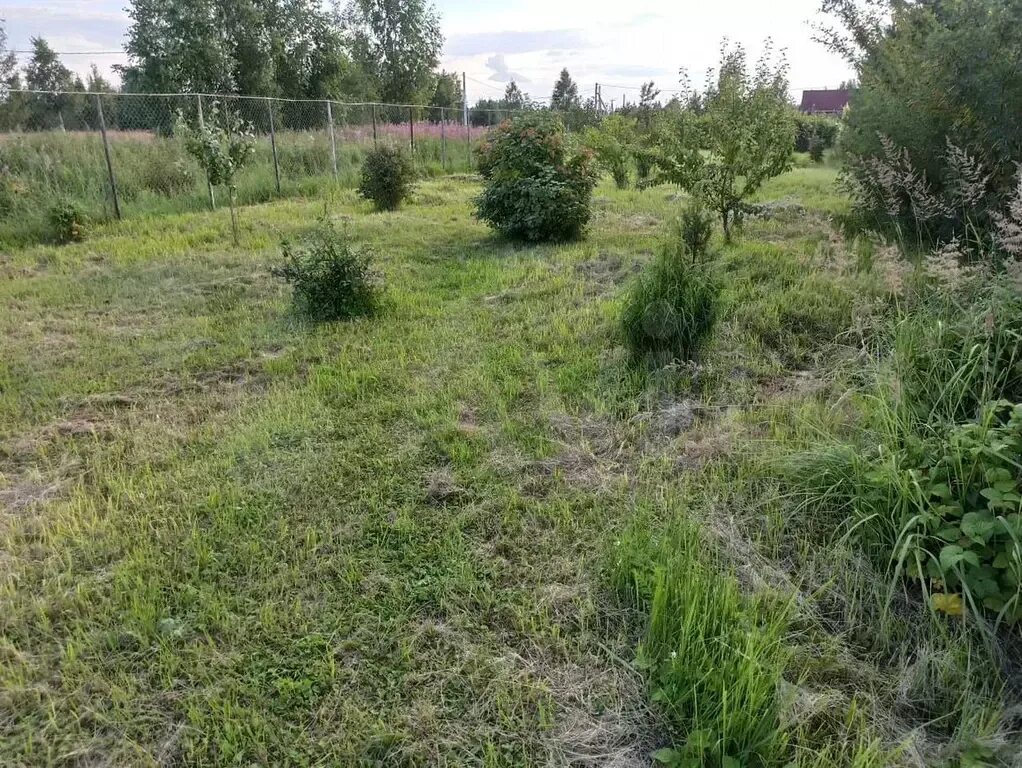 Земельный участок некрасовское. Деревня потягино. Поселение некрасовский. Земельный участок некрасовское. Некрасовское сельское поселение.